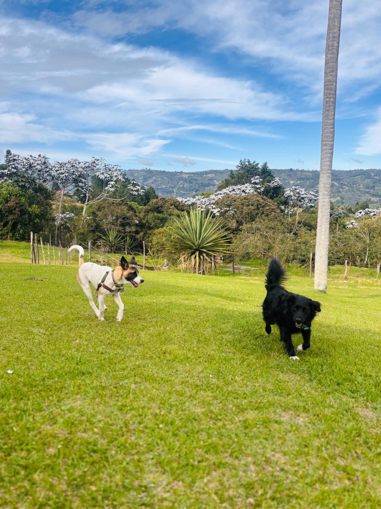 WhatsApp Image 2025-11-07 at 15.04.59 (1)